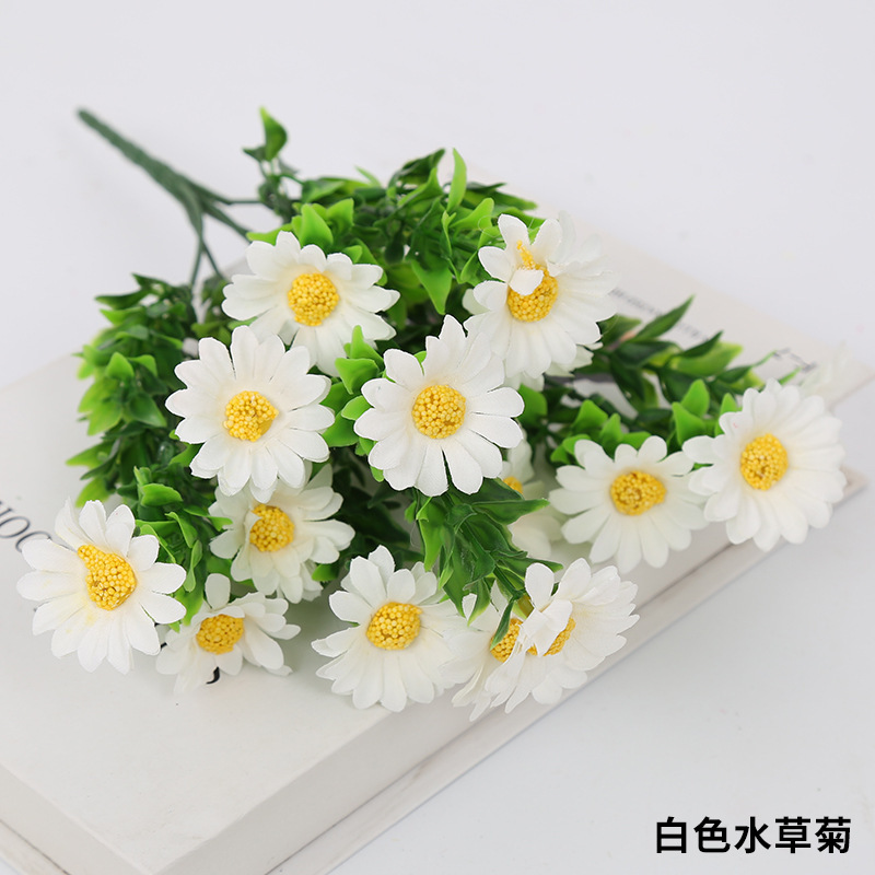 Crisantemo blanco-acuático