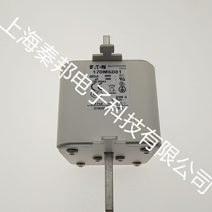 �S��ֱ�Nȫ��170M6081 170M6082 ����EATON���Dbussmann�۔���