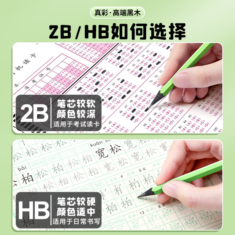 トゥルーカラーポール 黒木鉛筆 高級小学生受験専用鉛筆 高級黒木 hb 幼稚園 2B|undefined