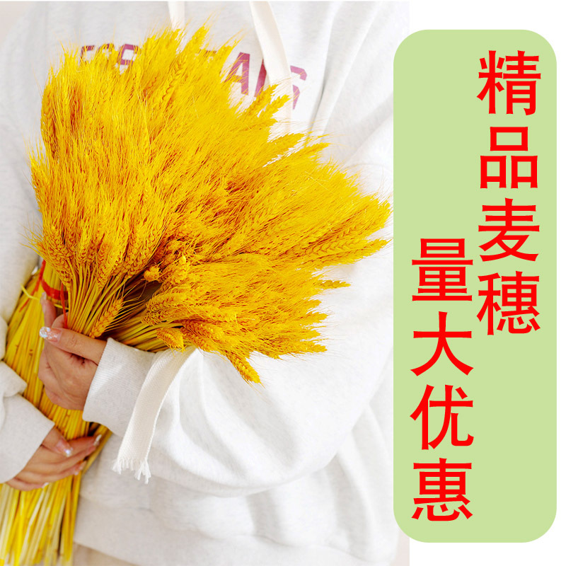 Cesta de flores de cebada abierta en el centro comercial, alegría de la vivienda, ramo de espigas de oro, decoración, props de disparo, flores secas, trigo