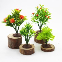 ��G����仨���[�P�bٻ��������Gֲ����ɳ�P������С����