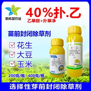 40%��&middot;��ѿǰ���]���݄� �Ҳݰ�+��݃������������������]ș