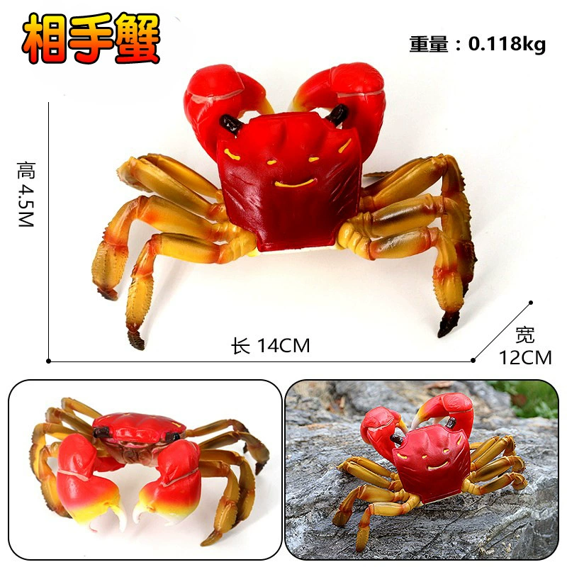 Игрушка, большие морские когнитивные украшения