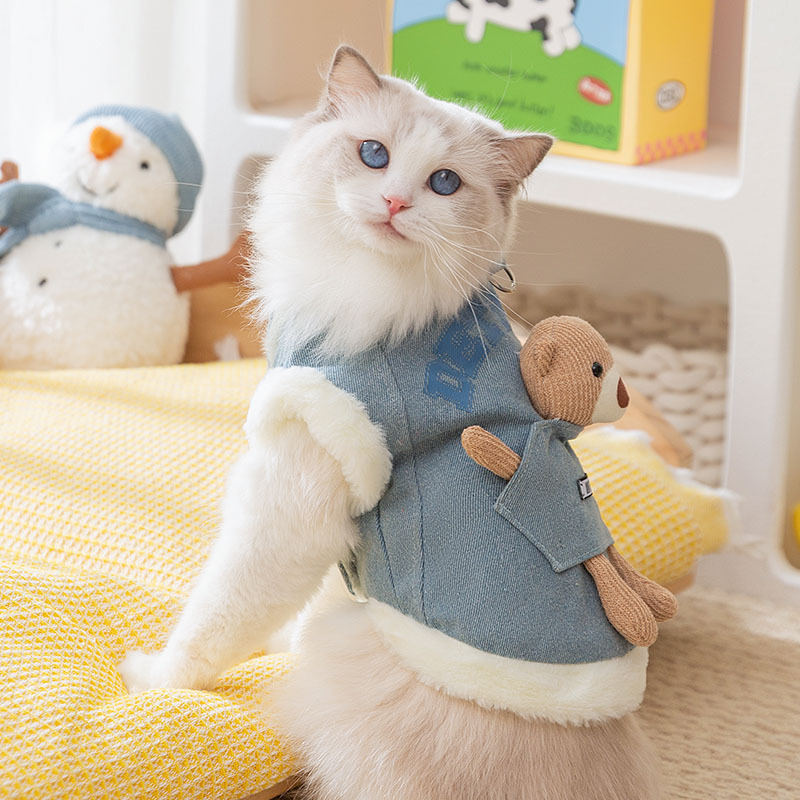 Bolsillo estereoscópico oso vaquero tracción chaleco sin mangas de dos patas mascota gato otoño invierno grueso ropa de gato mascota