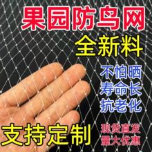 跨境果树防鸟网嘉宝树防鸟罩葡萄枇杷樱桃阳台菜园防鸟尼龙防护网