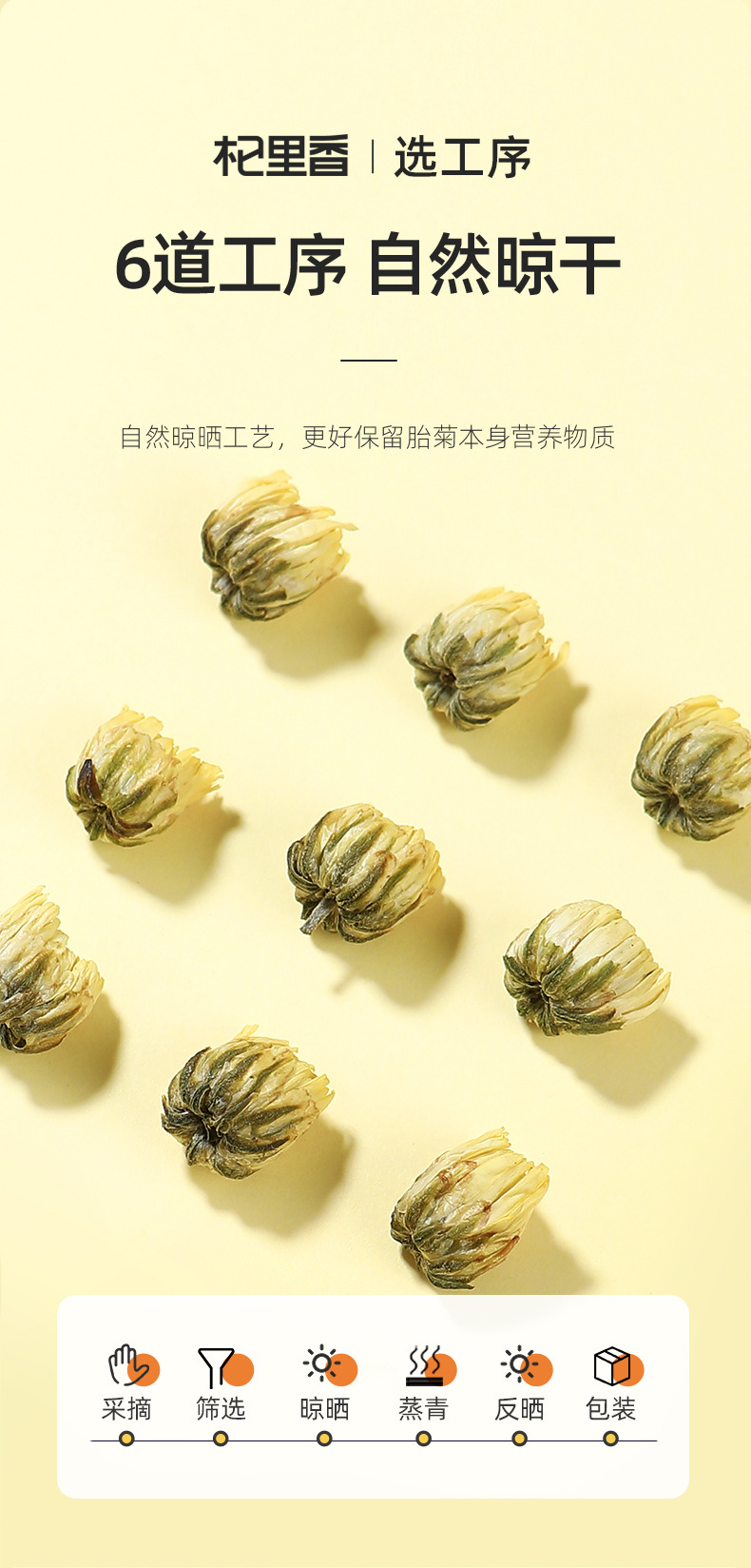 Tongxiang First Harvest Fetal Chrysanthemum Tea Buds Dried Flower Tea 40g Can key features
