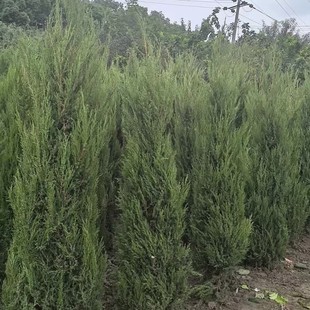 �F���ؑc�ɶ����ػ������������������l�������������N������