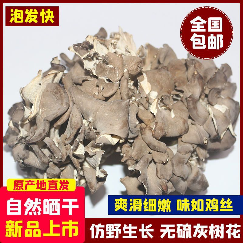 2024 New Product Maitake Dancing Mushroom Qingyuan Maitake Net Weight No Desiccant Wood-Fired Baking Direct from Farm