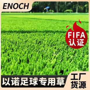 ���Z��ƺ-�����ƺFIFA���J�C �������ϲ�ƺ ����Ͳ�ƺ�ٲ�Ƥ