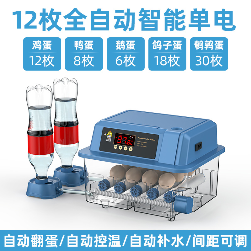 Incubadora de Huevos Inteligente para Codornices, Máquina de Incubación Inteligente para Cría de Aves, Fabricante Original