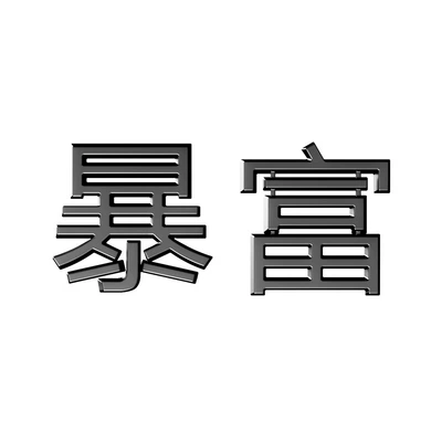 Car logo Vehicle Tail Label Blackened Frosted - black-frosted-metal-label-rich