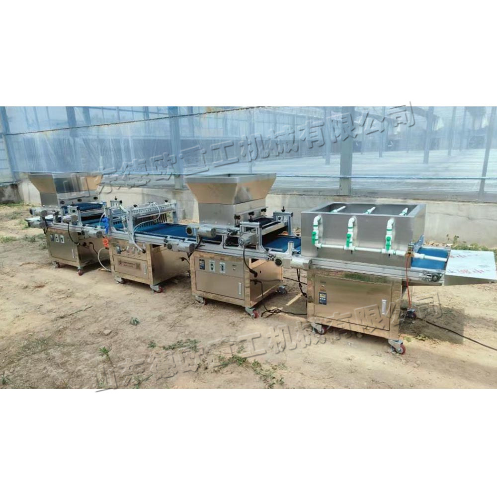 自动穴盘育苗播种机 农用蔬菜种子点播机 育苗覆土压穴一体机