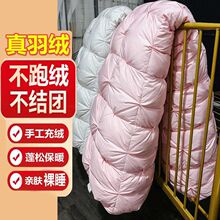 四季通用【白鹅绒】国标9A级羽绒被抗菌保暖被芯纯羽绒被