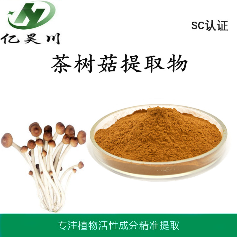 茶树菇提取物厂家10:1 全水溶茶树菇粉 茶树菇多糖提取物量大从优