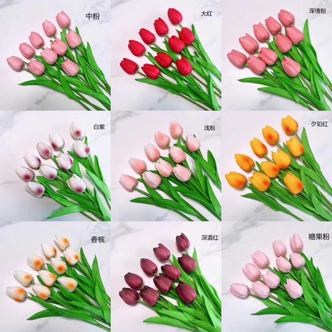 5b6d55c26b7b7a50023447dba01a5f