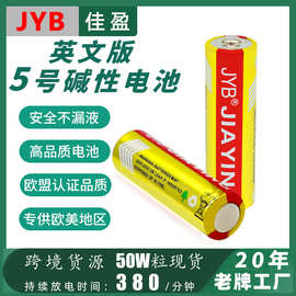 欧盟认证环保干电池LR6/AA碱性5号电池厂家直销CE认证英文包装