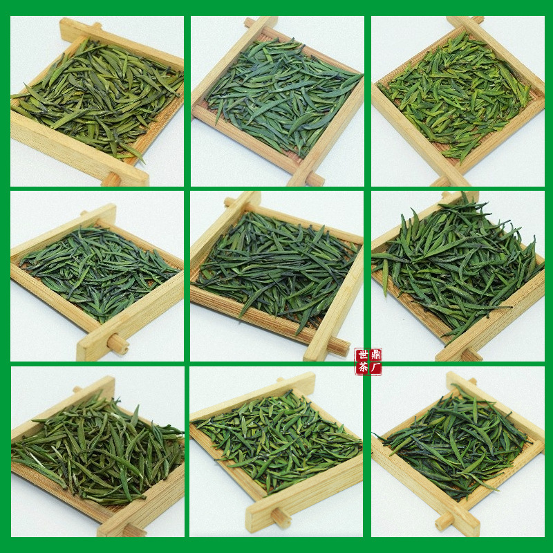 竹青叶雀舌新茶特级绿茶四川峨眉山明前单芽散装龙芽翠芽|undefined