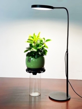 ��ؿ���ʽȫ���Vֲ�����L�����r����ֲ������ͽ��ɫ�����a���