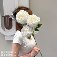 滨֦õõõܽĵ¼șc·l