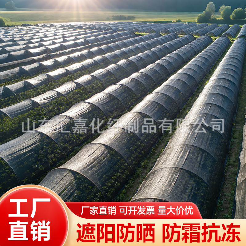 01黑色农用大棚遮阳网加厚加密防晒抗老化蔬菜菌类遮光3针4针6针8
