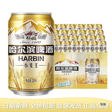 �����r���ڡ������IС����ơ��10��330ml*24 ���b�����b�؃r����