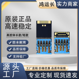 Year-Old Memory Card Udp 2.0 3.0 Long and Short Vinyl Universal Type-C Tf Card U Disk Chip