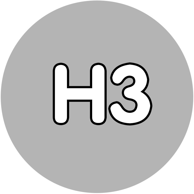 [10g auto-selección de paquete suplementario de galletas de frijol 221 color verde de alta calidad fusión frijol diy hecho a mano