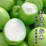 大青枣葫芦枣树活苗南北方庭院地栽特大果树盆地栽枣树苗当年结果