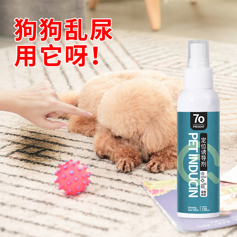 One-piece drop-shipping dog toilet inducer urinary and defecation positioning fixed-point defecation training liquid pet defecation inducer