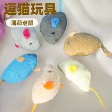 猫玩具可爱毛绒小老鼠逗猫玩具内含薄荷自嗨解闷宠物用品猫咪玩具