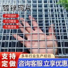 镀锌网片铁丝网格网加粗鸽子养殖隔离防护网电焊钢丝网果园围栏