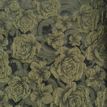 ɫp֦ĵỨϼŮBȹְѝl