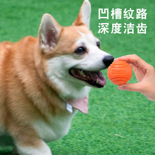 Meianju Pet Dog Elastic Ball Bite-Resistant Solid Ball Rubber Chewing Toy Ball Outdoor Throwing Retrieval Training