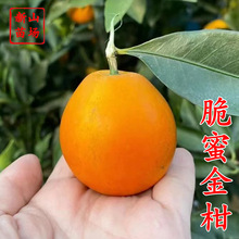 �㽭 ���۽���� ���  ����� �����𵰽�̘���