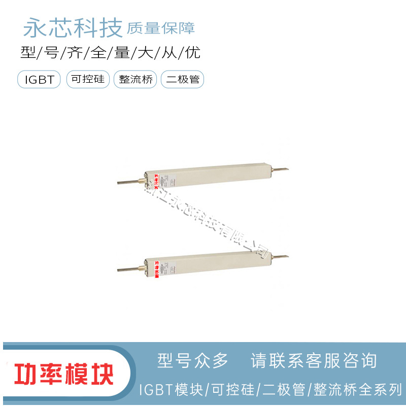 供应D600GB35C25P  D600GB40C32P原装进口方形熔断器快速保险丝
