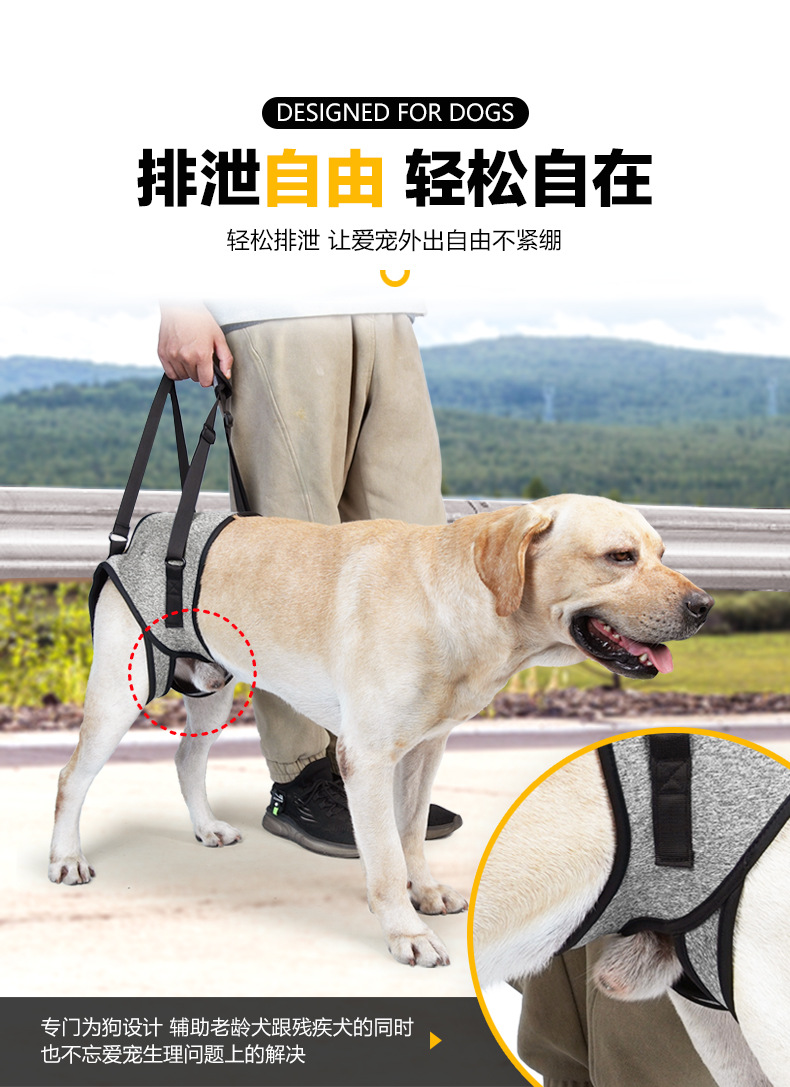 跨境热销宠物用品受伤狗狗后腿辅助背带老龄犬受伤犬减压辅助牵引详情4