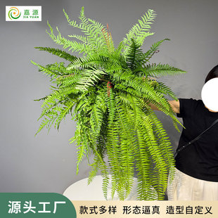 ����ާGֲ��˹ާ�Pβާ��ާ�~�҃ȼҾ�ֲ��b��쾰��˹ާ��