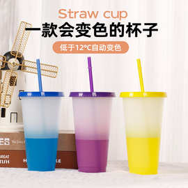 定制20005 创意变色水杯PP材质感温塑料变色杯遇冷变色吸管杯
