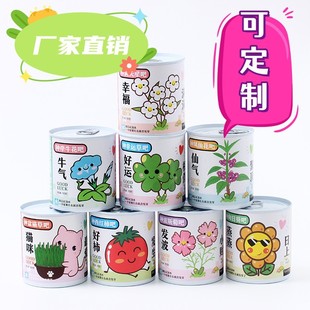 Net red blessing potted green tomato seeds canned plant desktop creative gifts Qiao Ya gardening manufacturers wholesale