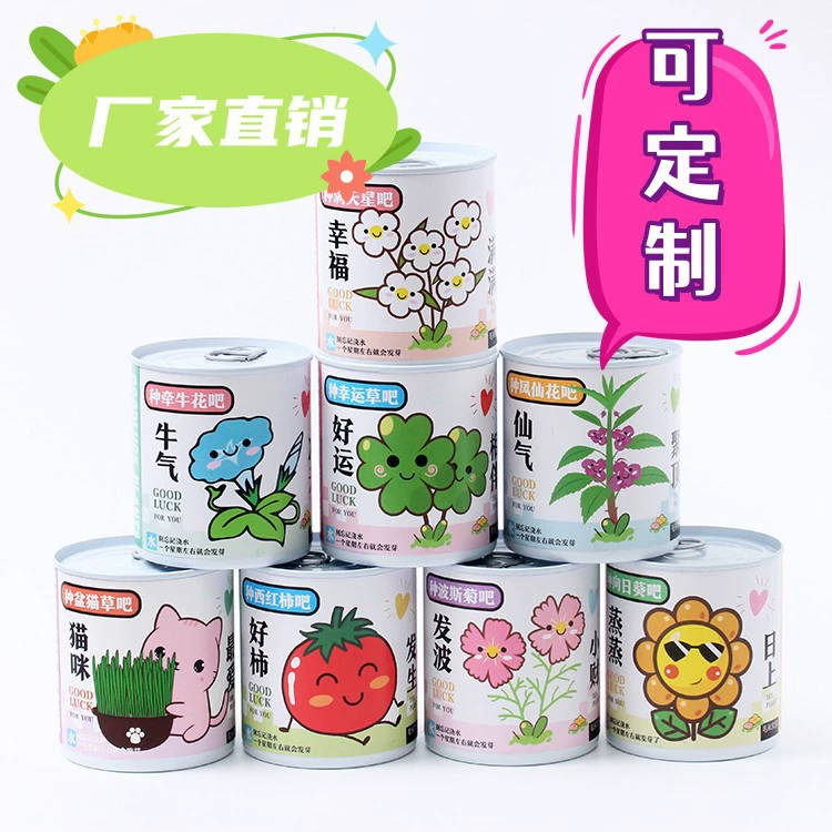 Чистое красное благословение в горшках зеленая посадка семена томатов консервированные растения настольные творческие подарки Красивые производители садоводства оптом