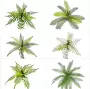 植物婚庆仿真蕨类绿植