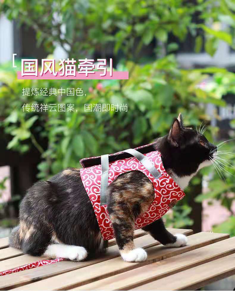 Шлейка для кошек синяя L