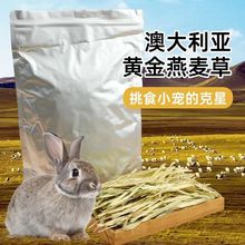 澳洲燕麦草碎澳洲燕麦草草段兔子龙猫豚鼠晒干澳麦