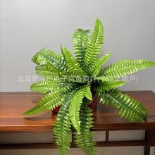 仿真绿植跨境绢布波斯蕨叶铁树叶植物墙装饰配件绿家居造景高仿真