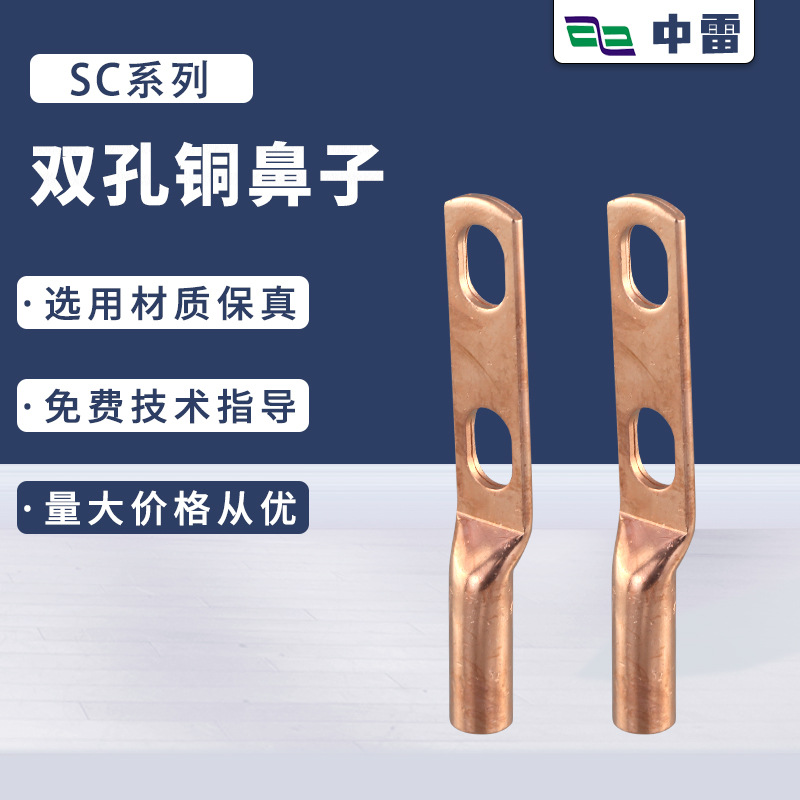 双孔铜鼻子加工CL-2H双孔线鼻子管型双眼接线鼻子SC双孔线耳