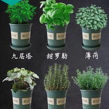 �Ե�������㱡���_���~�Ō���ţ�����K���r��ʳ���������������