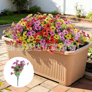 �羳���N ���滨7��35Ŀ�ȼ������_�m��ţ���Ҿ��b����쾰�ٻ�