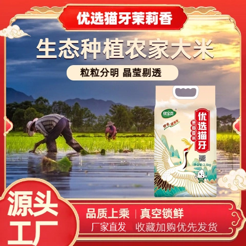 大米优选猫牙茉莉香米象牙米丝苗米猫牙米长粒香米南方大米批发|undefined
