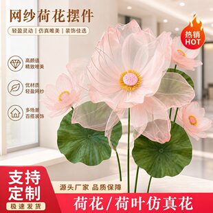 �W���ɻ����~���滨�[���̈���������b�����ػ�ˇ���b��