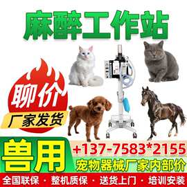 兽用宠物动物麻醉机呼吸机呼吸麻醉一体机猫狗牛马兔大小鼠吸氧机